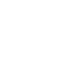 icon-simplement